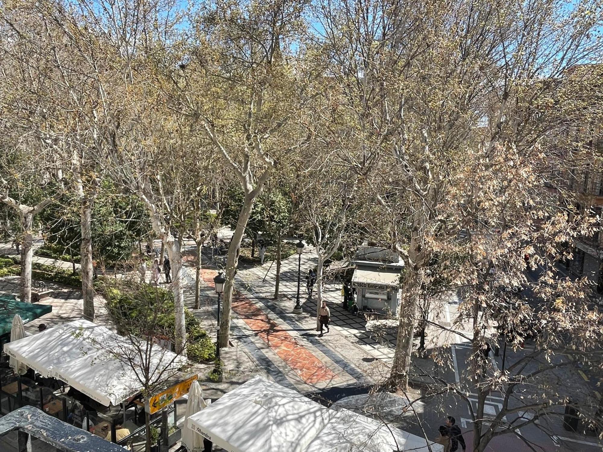 Pension Zurita Гранада Экстерьер фото